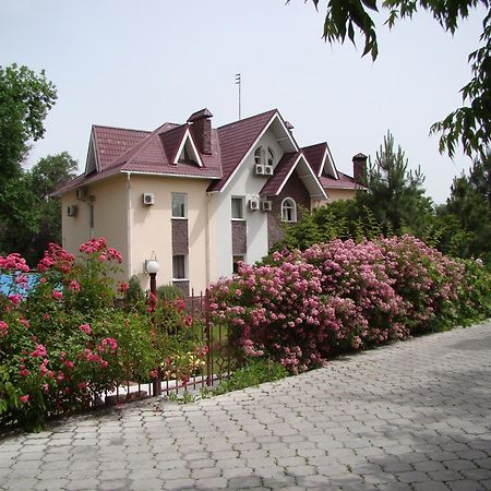 Asian Mountains Bishkek Luaran gambar